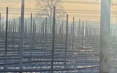 Donderdag 18 januari 2024