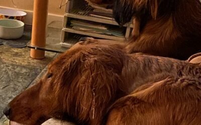 Zondag 25 februari 2024