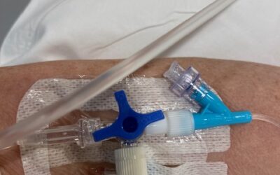 Woensdag 21 februari 2024